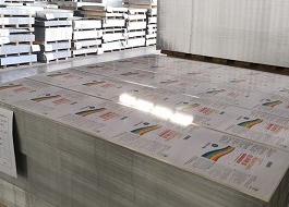 Tinplate Sheet